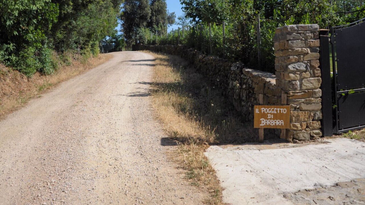 Photo of Others in Scansano