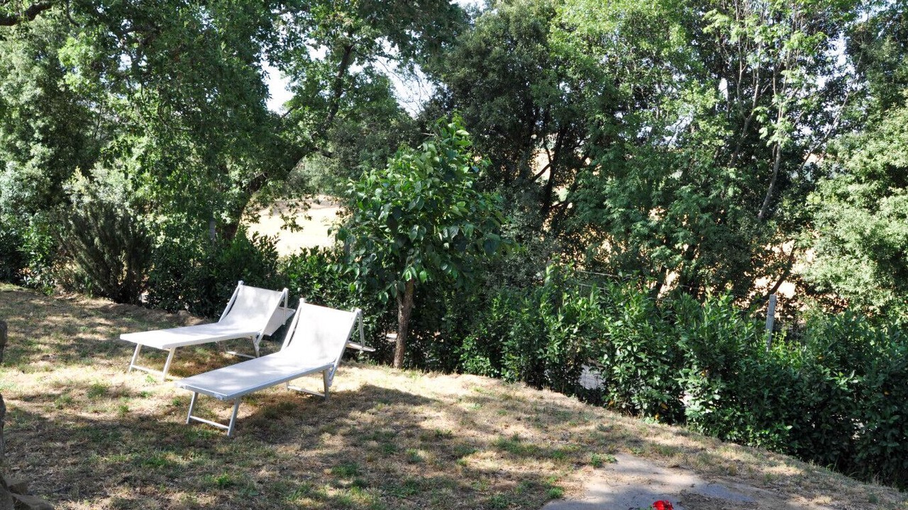 Photo of Outdoor in Scansano