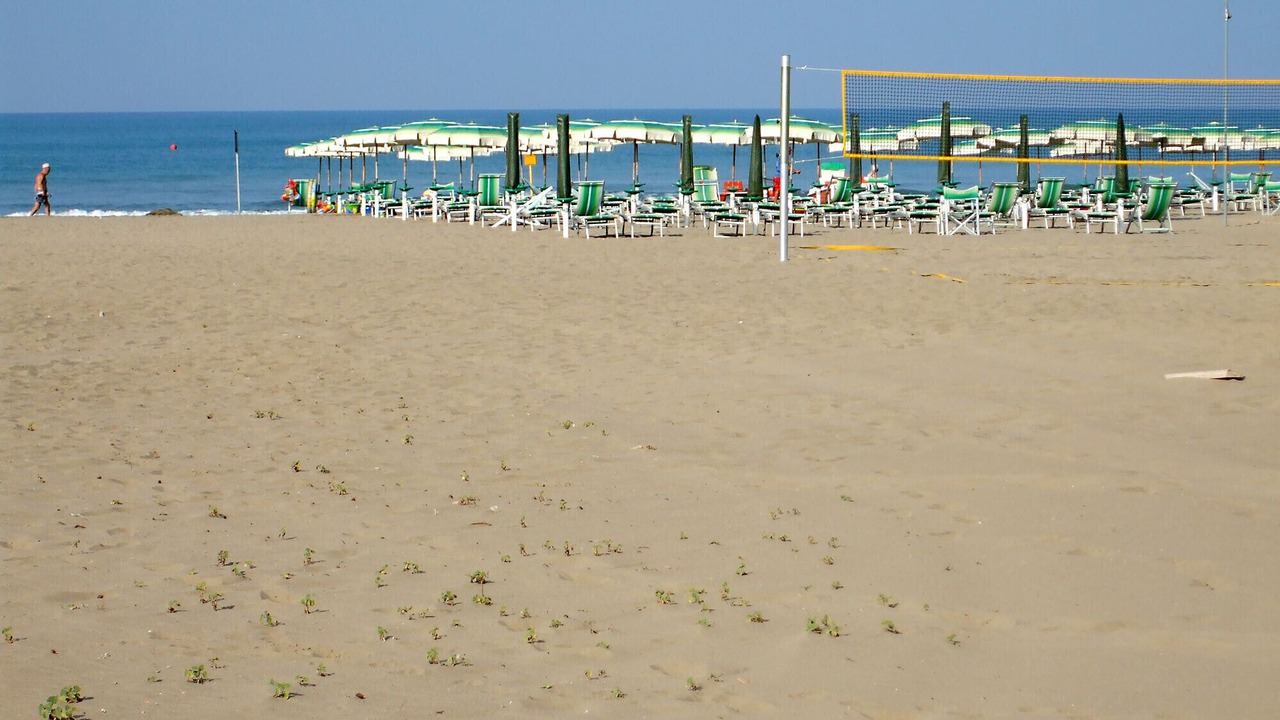 Photo of Others in Marina di Grosseto