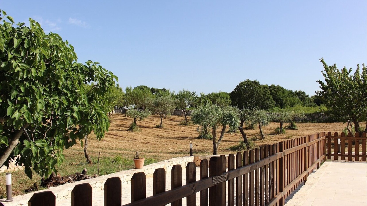 Photo of Outdoor in Martina Franca