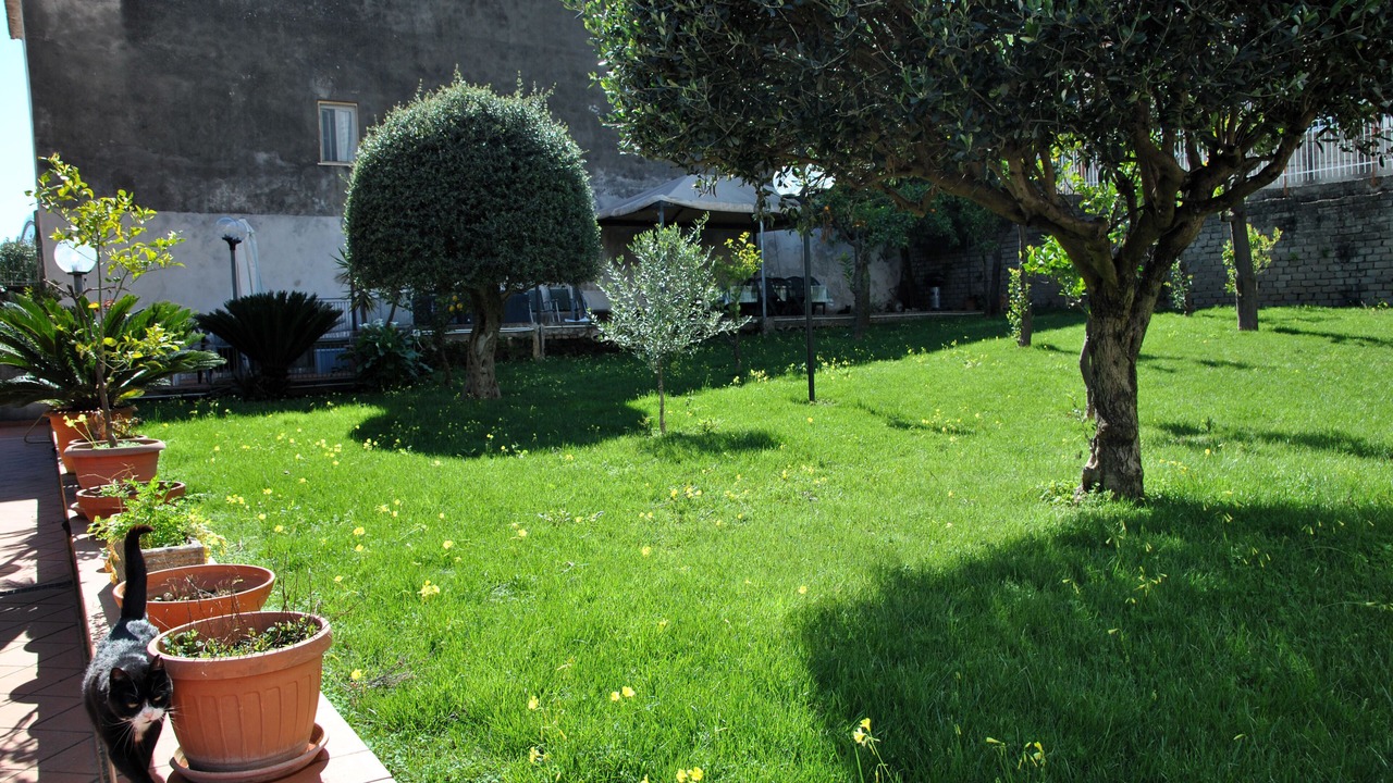 Photo of Outdoor in Formia