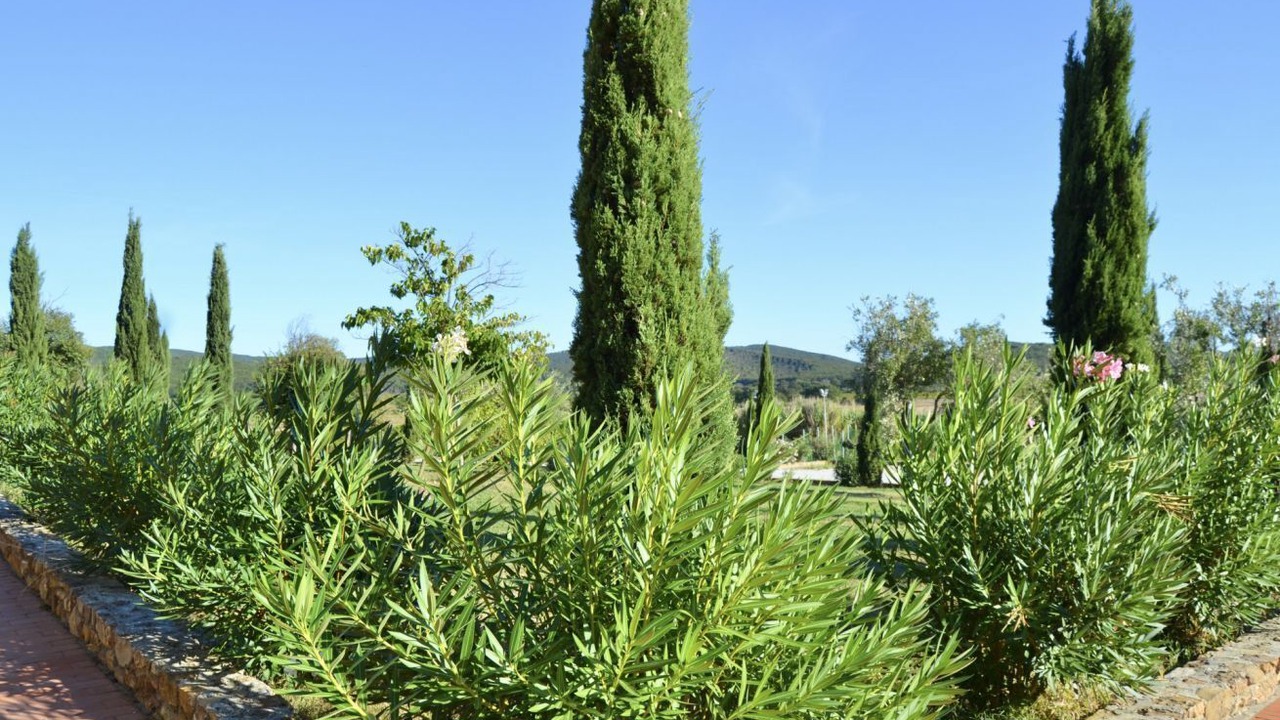 Photo of Outdoor in Casalappi