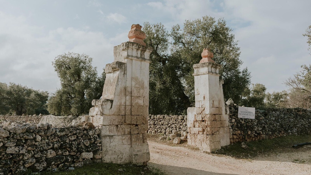 Photo of Others in L'Assunta