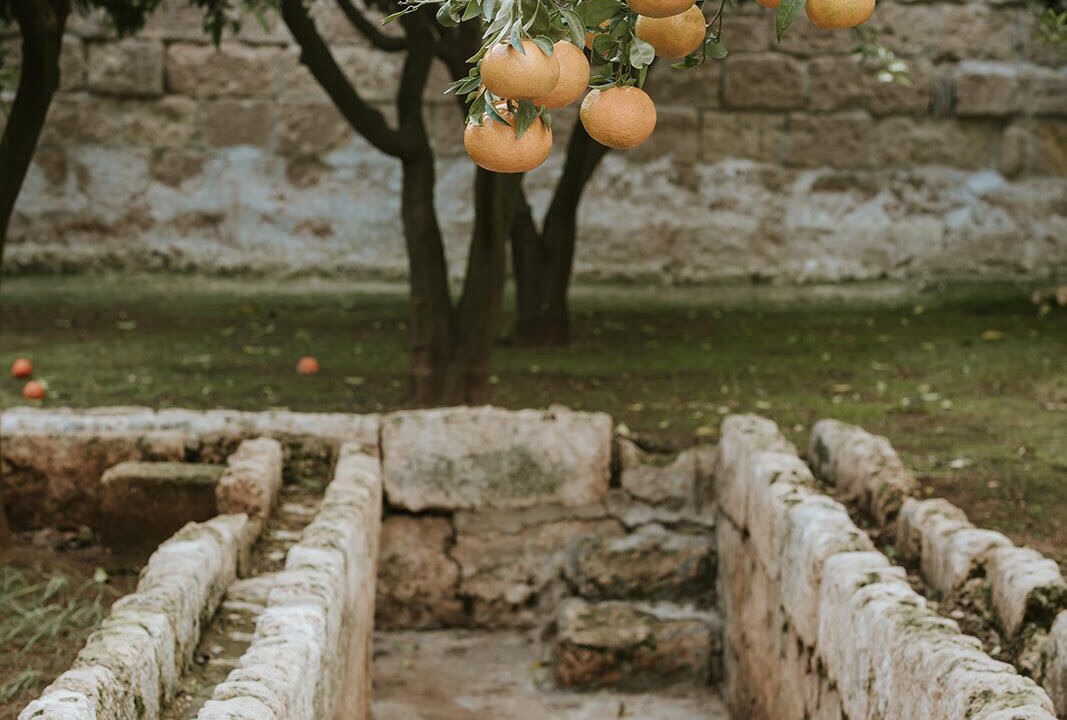 Photo of Outdoor in L'Assunta