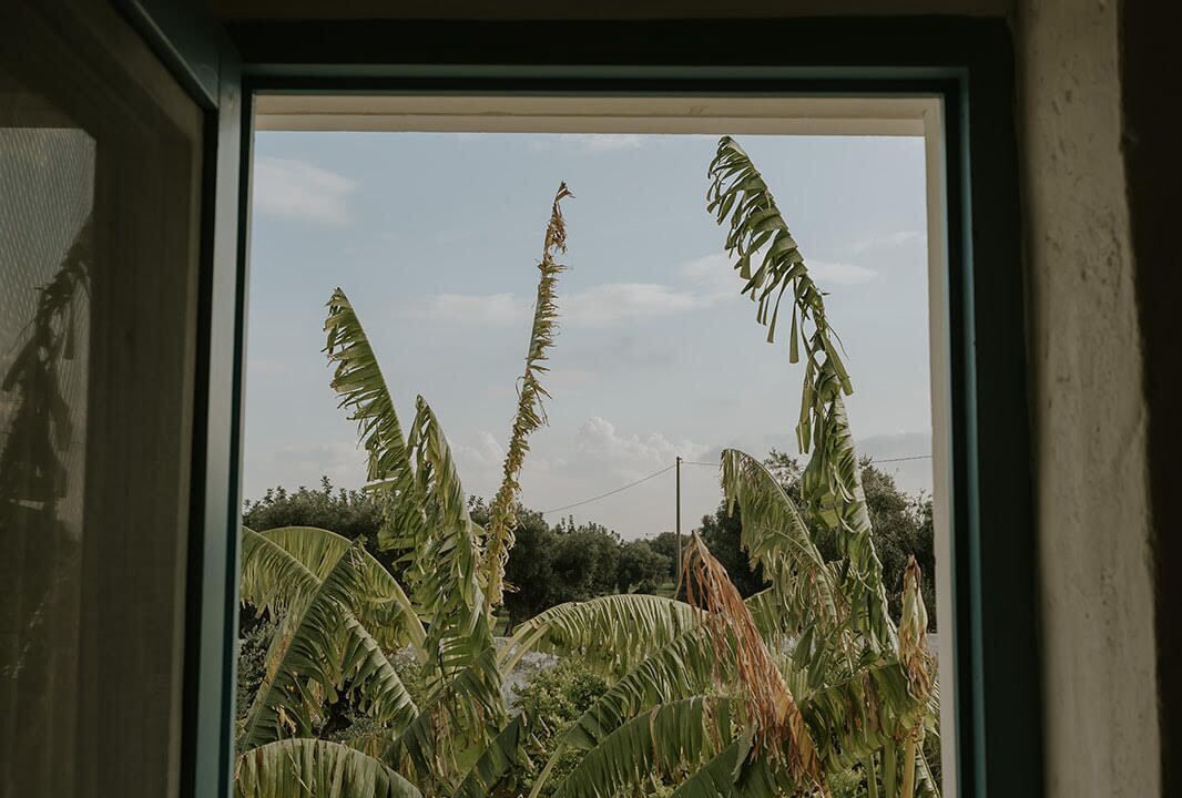 Photo of Others in L'Assunta