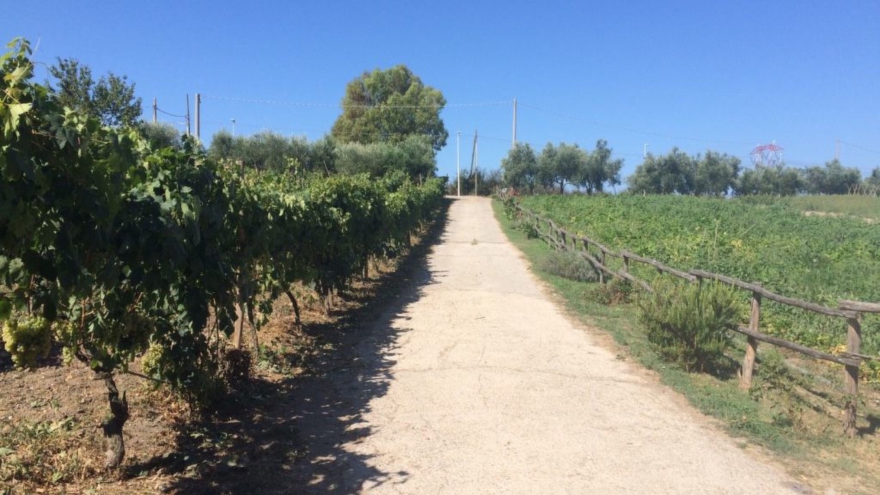 Photo of Others in Zona XLV Castel di Guido
