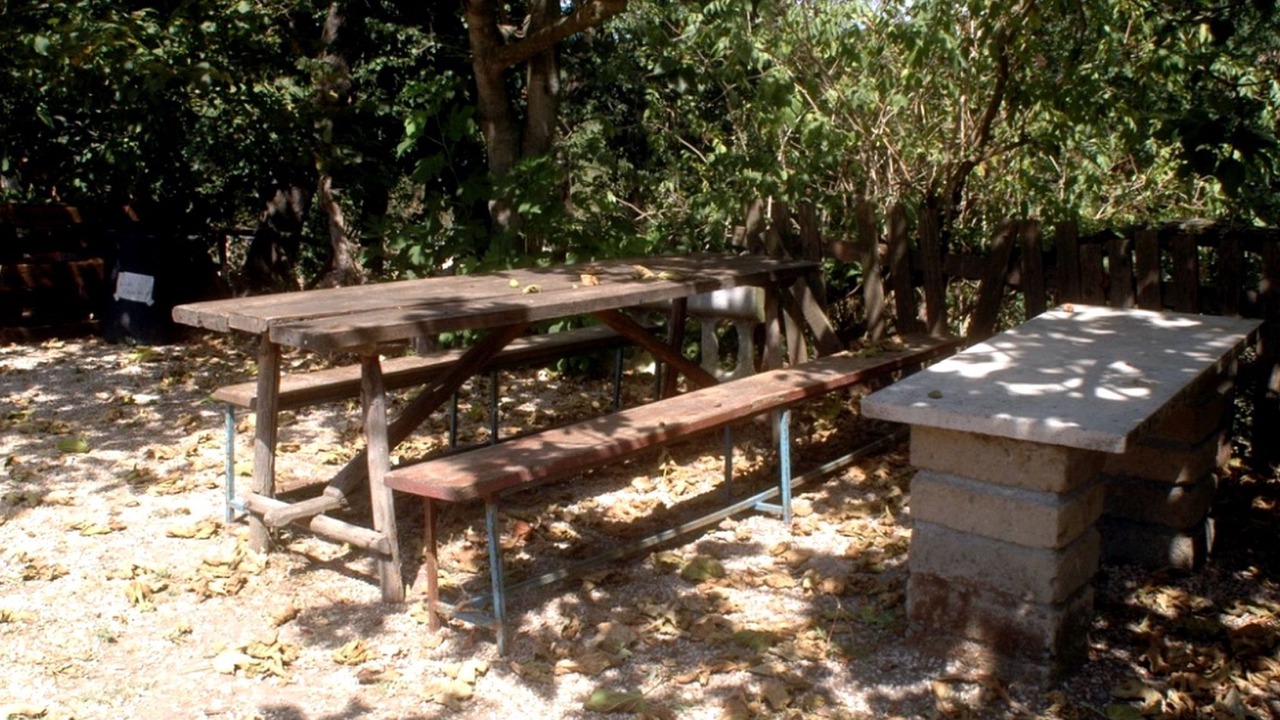 Photo of Outdoor in Zona XLV Castel di Guido
