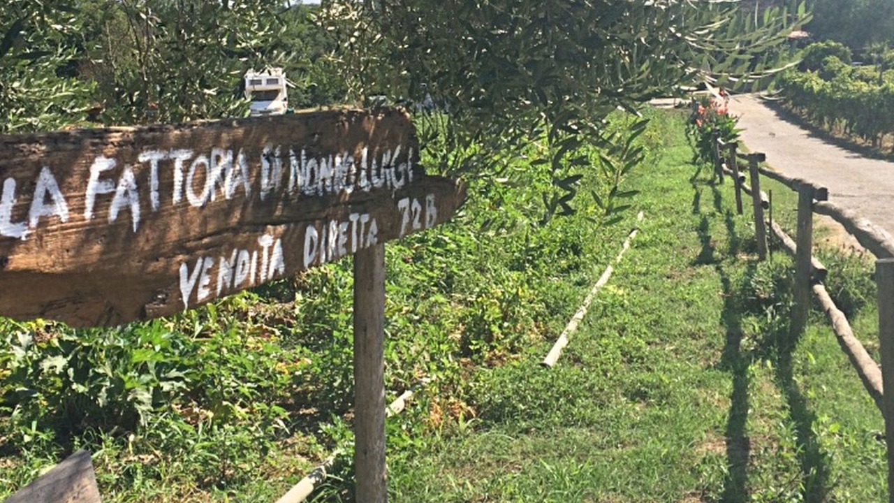 Photo of Others in Zona XLV Castel di Guido