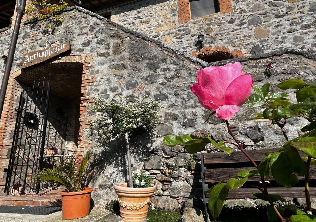 Photo of Others in Castel Giorgio