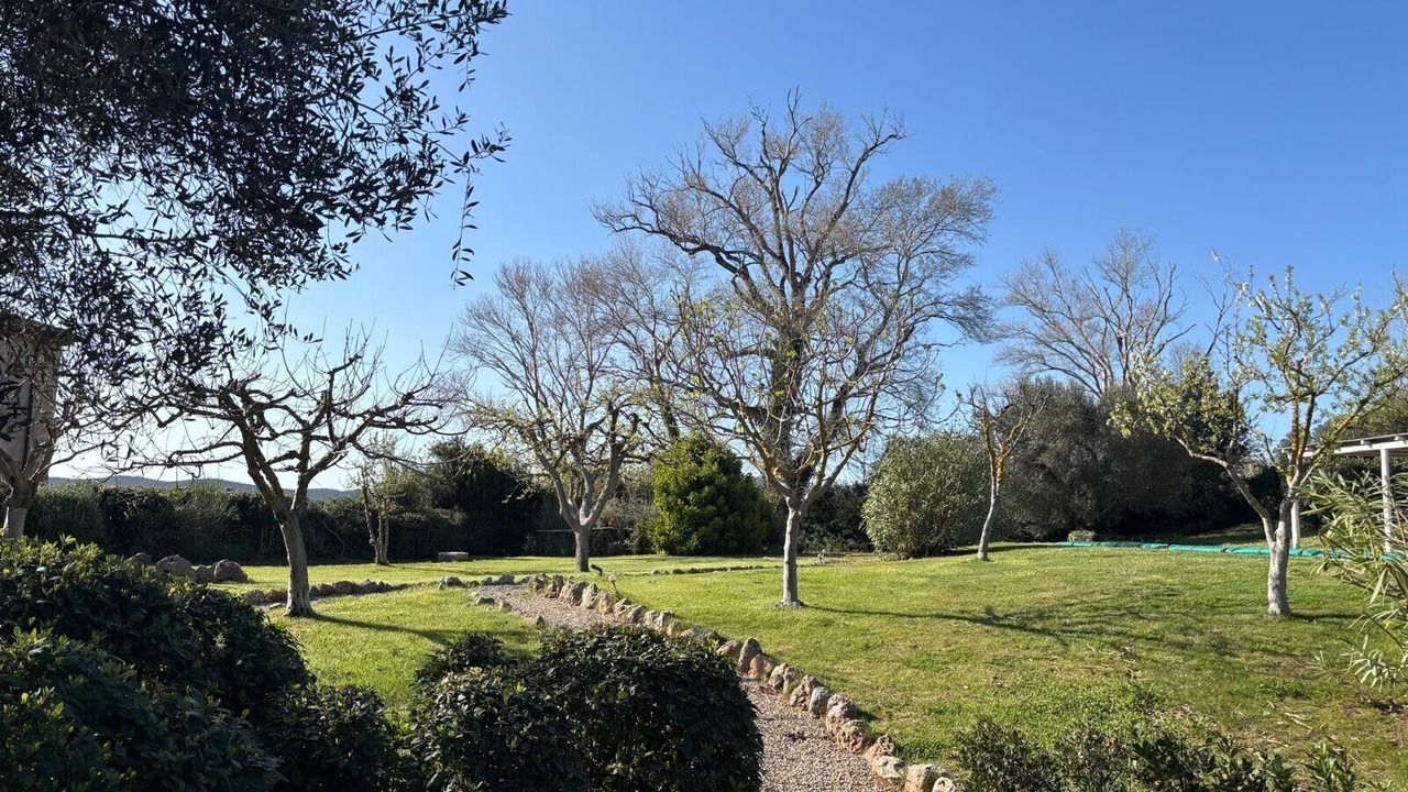 Photo of Outdoor in Capalbio