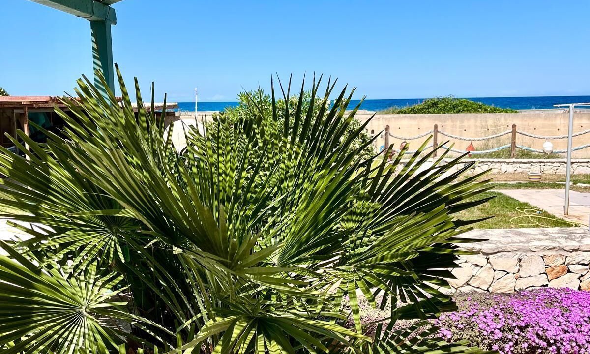 Photo of Outdoor in Villanova