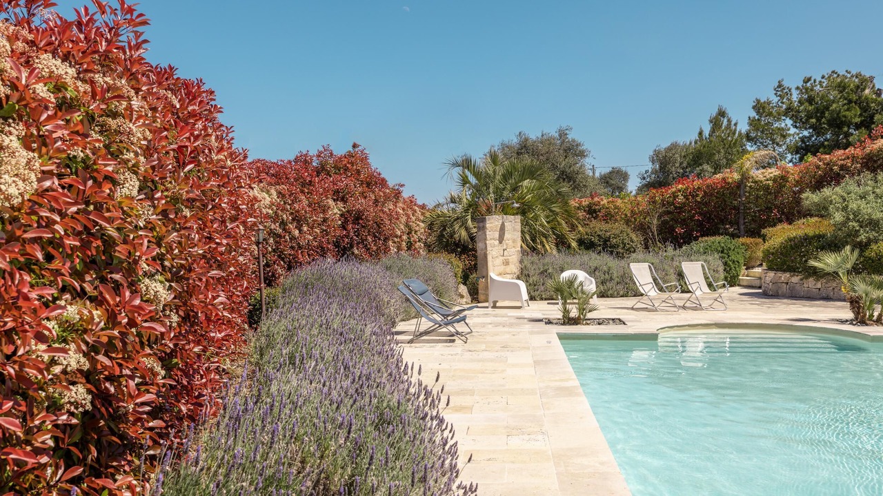 Photo of Outdoor in Ostuni