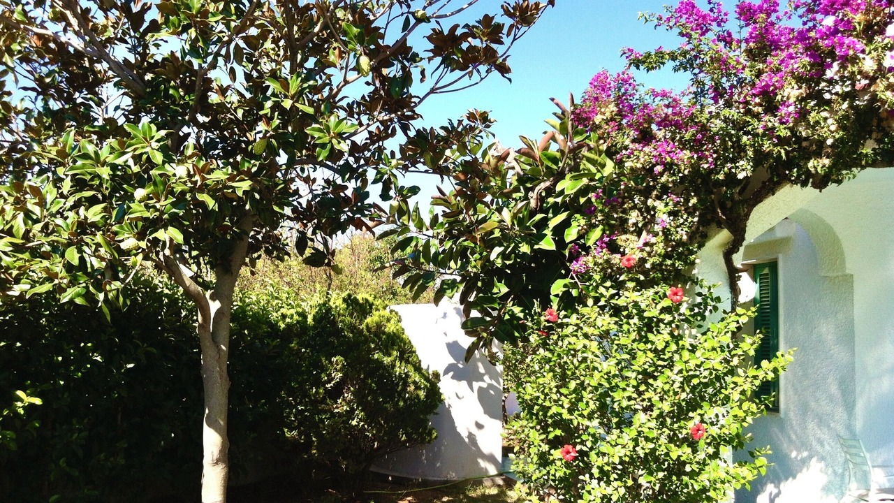 Photo of Outdoor in Villanova