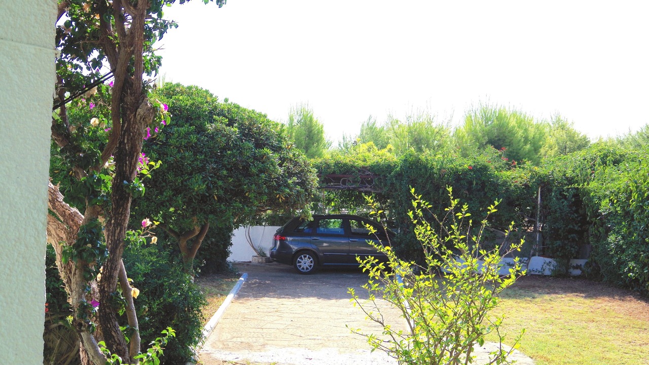 Photo of Outdoor in Villanova