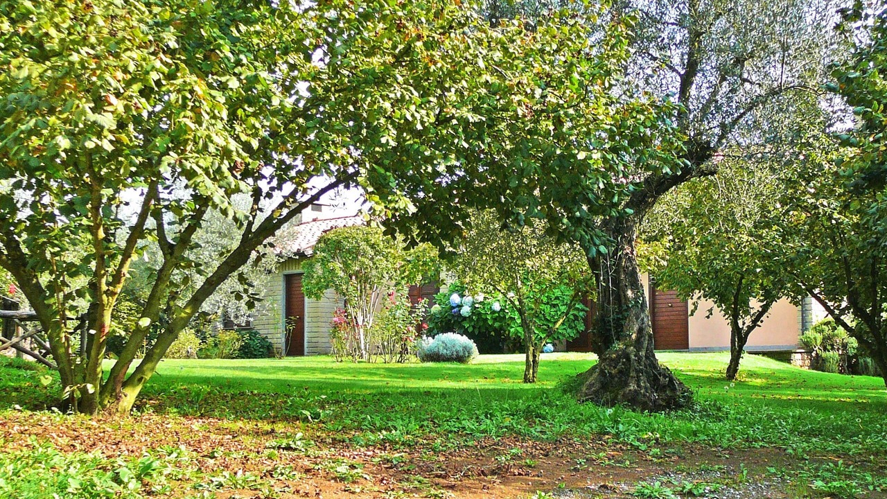 Photo of Outdoor in Capranica
