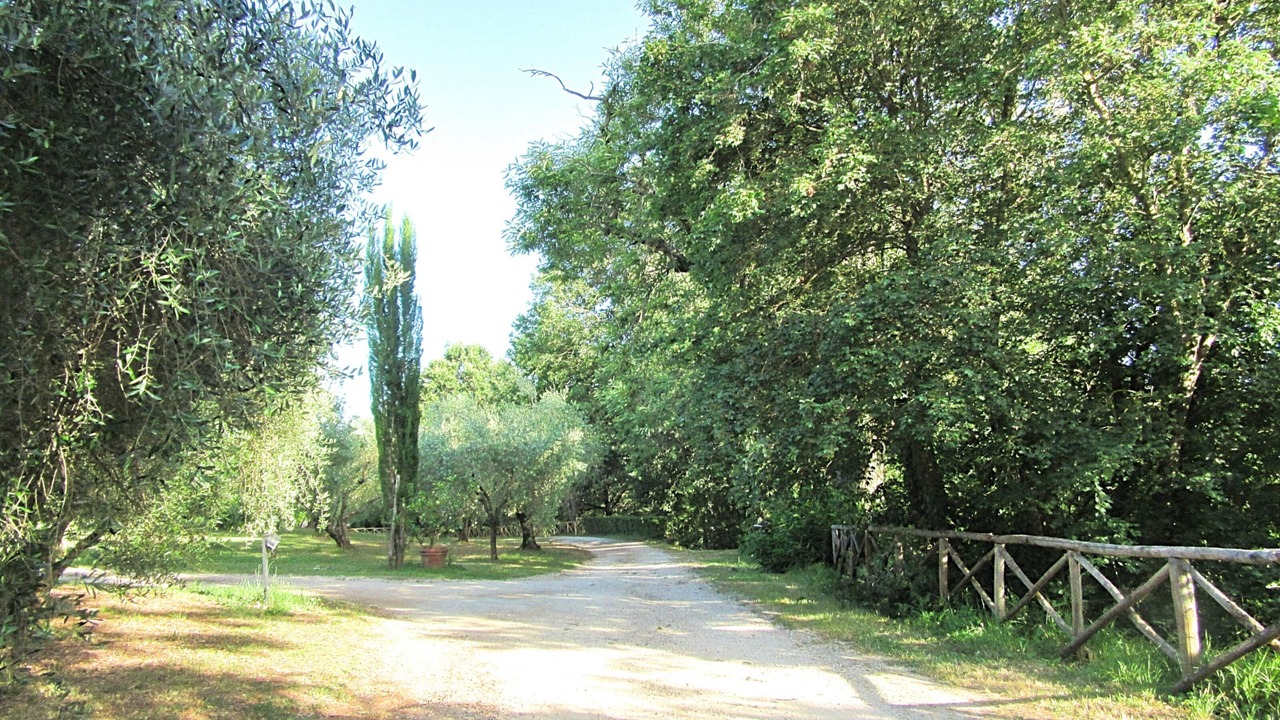Photo of Others in Capranica