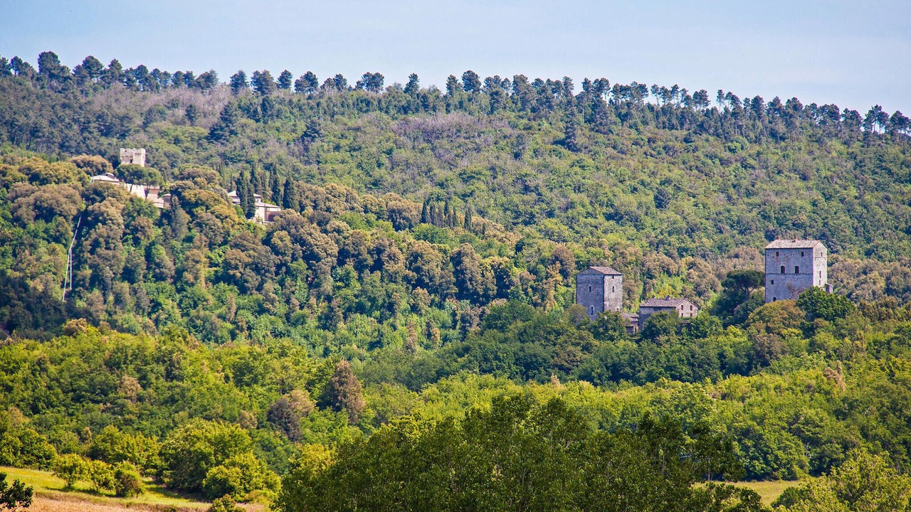 Photo of Others in Simignano
