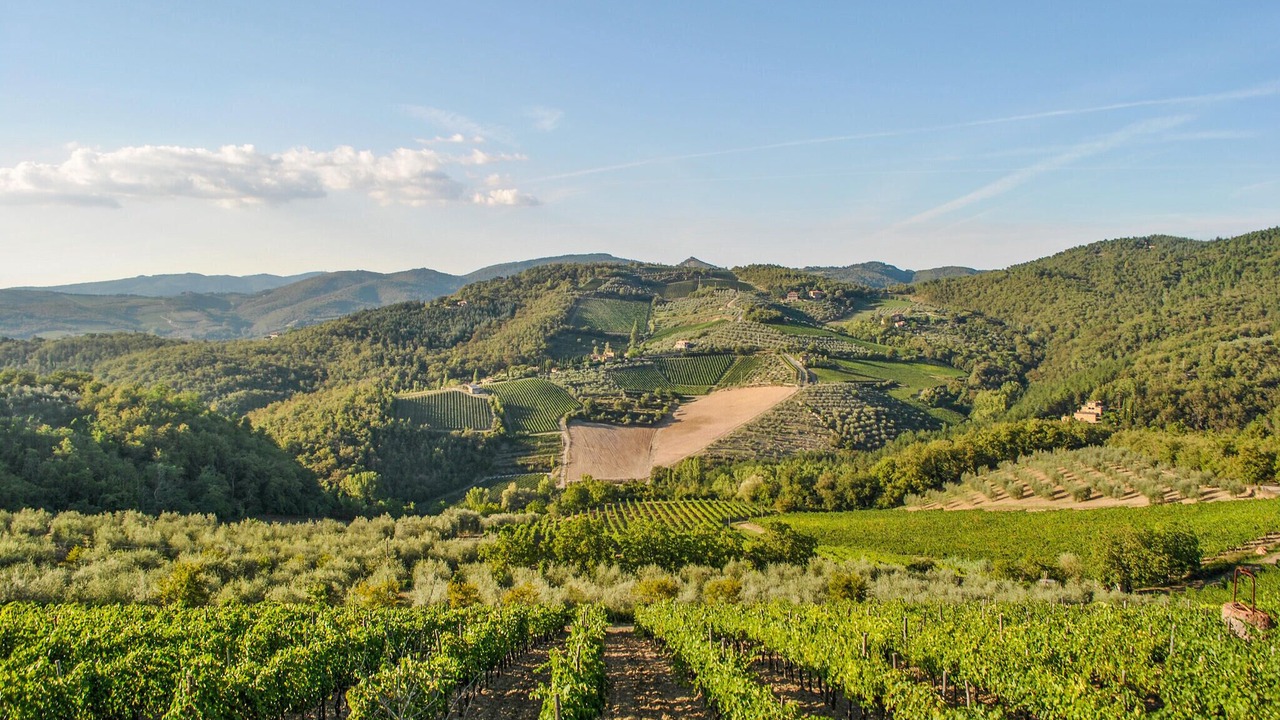 Photo of Others in Simignano