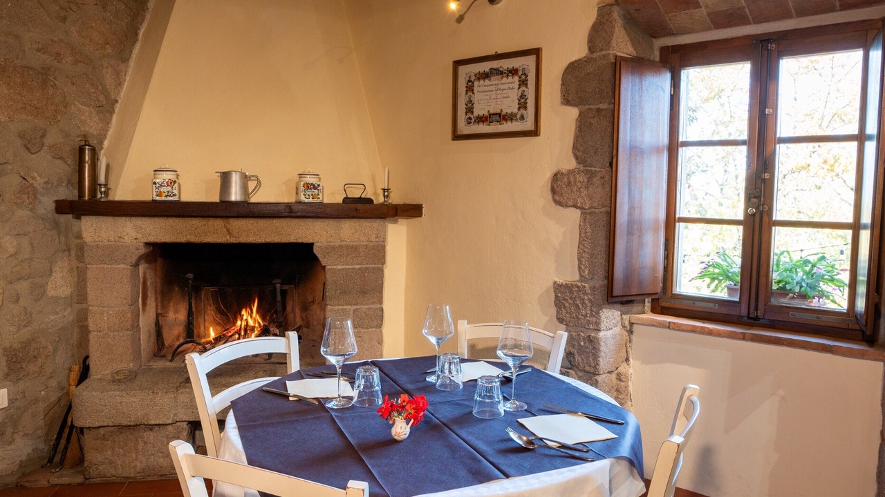 Photo of Others in Torniella