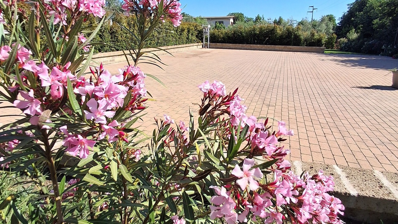 Photo of Outdoor in Tragliatella