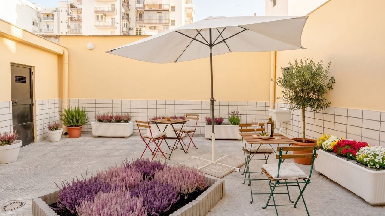 Photo of Outdoor in Municipio 2