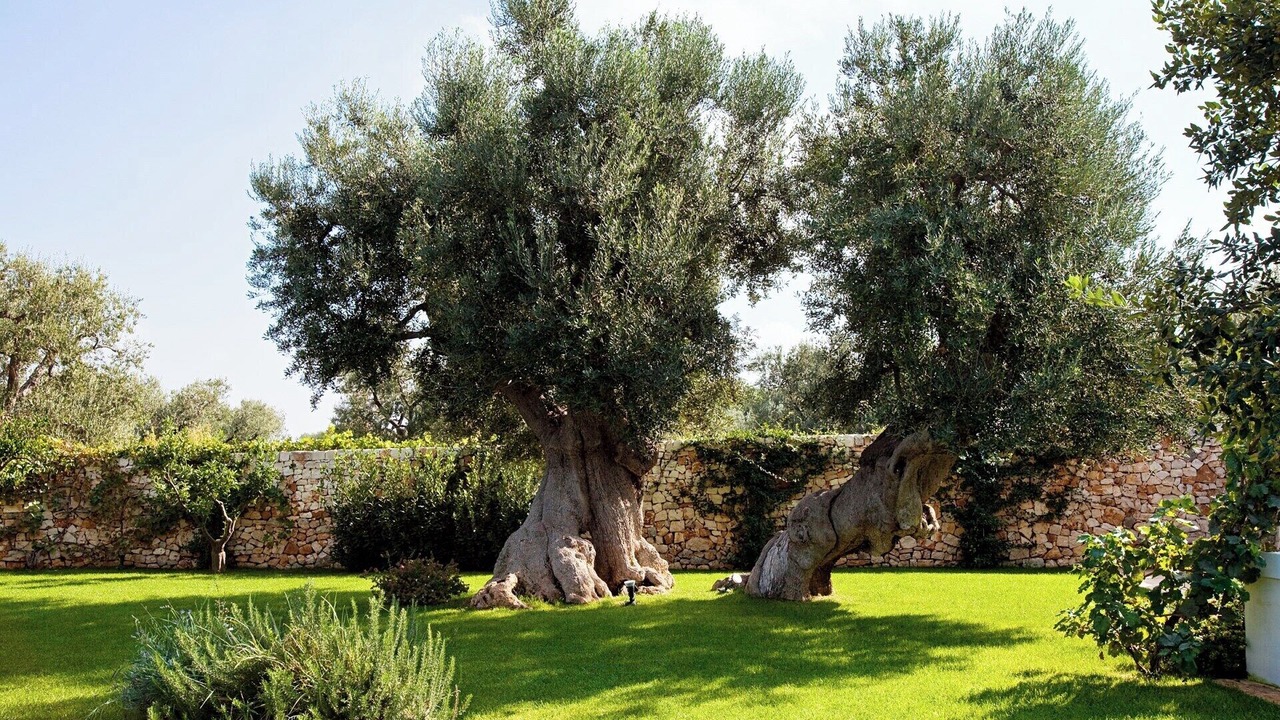 Photo of Others in L'Assunta