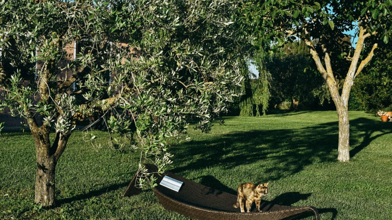 Photo of Outdoor in Capalbio