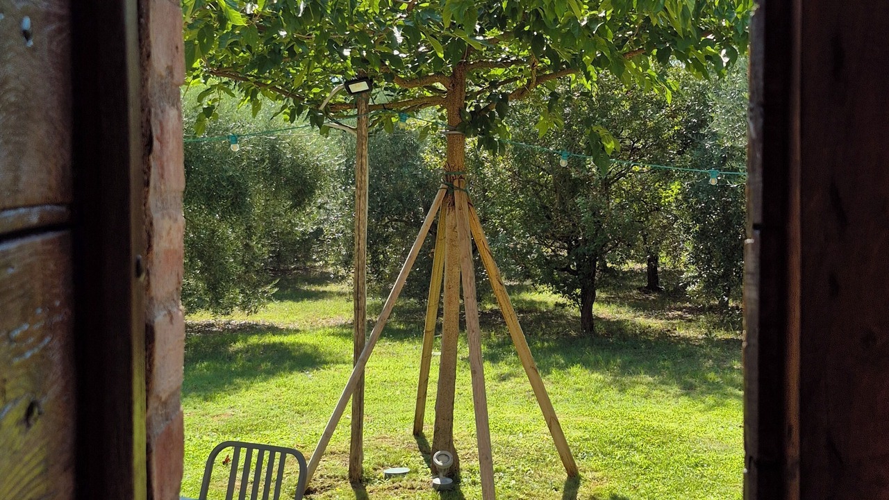 Photo of Outdoor in Pian di San Martino