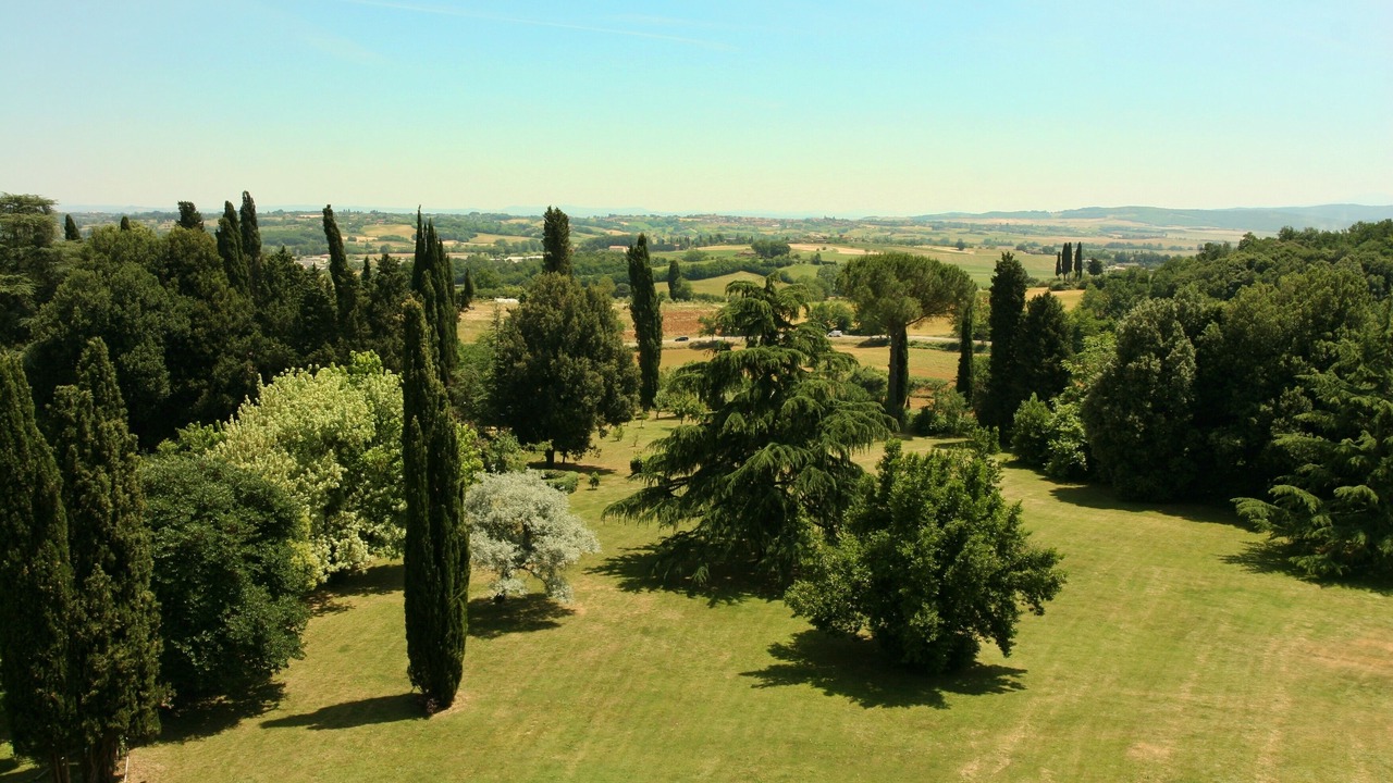 Photo of Others in Sovicille
