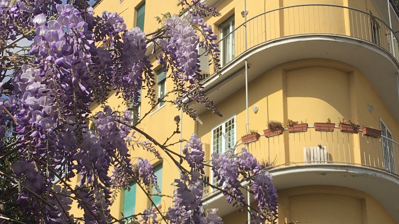 Photo of Outdoor in Aventine