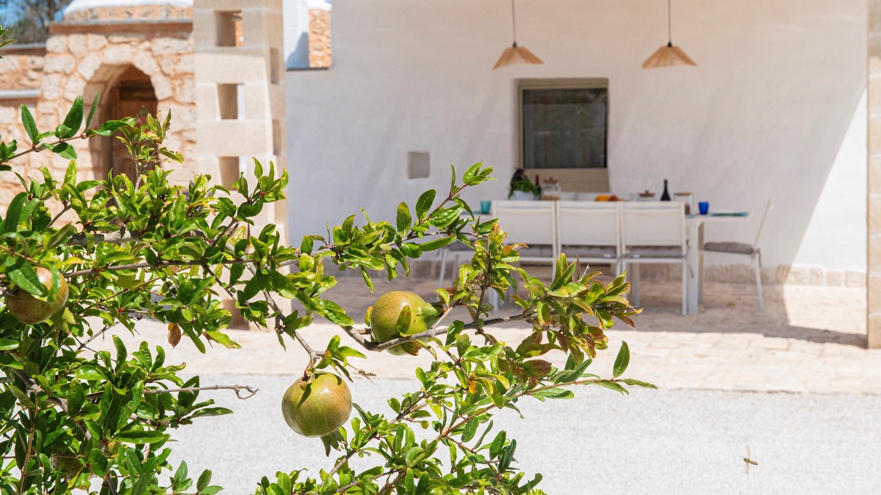 Photo of Outdoor in Carovigno