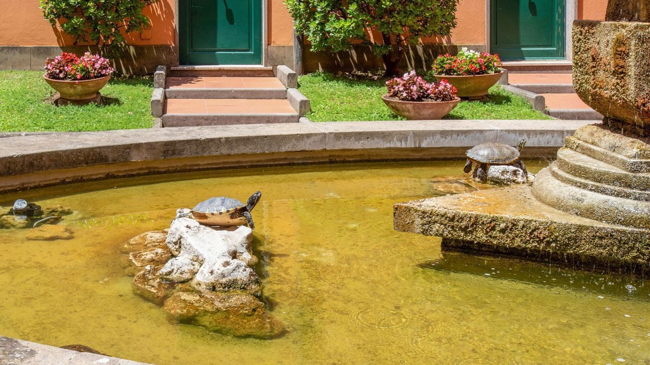 Photo of Outdoor in Ripa