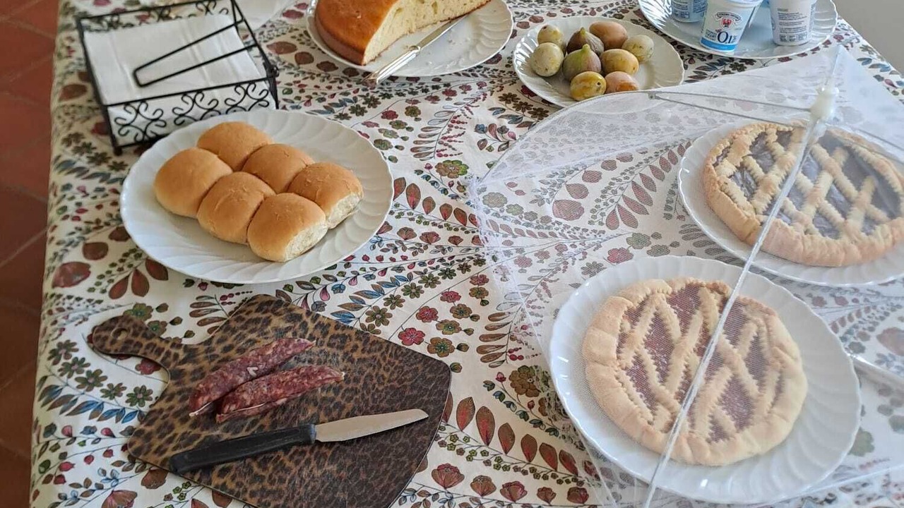 Photo of Others in Fornole