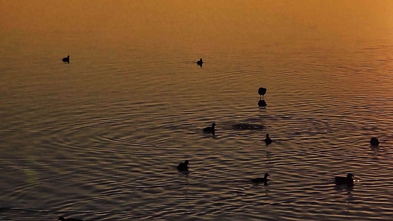 Photo of Others in Bolsena