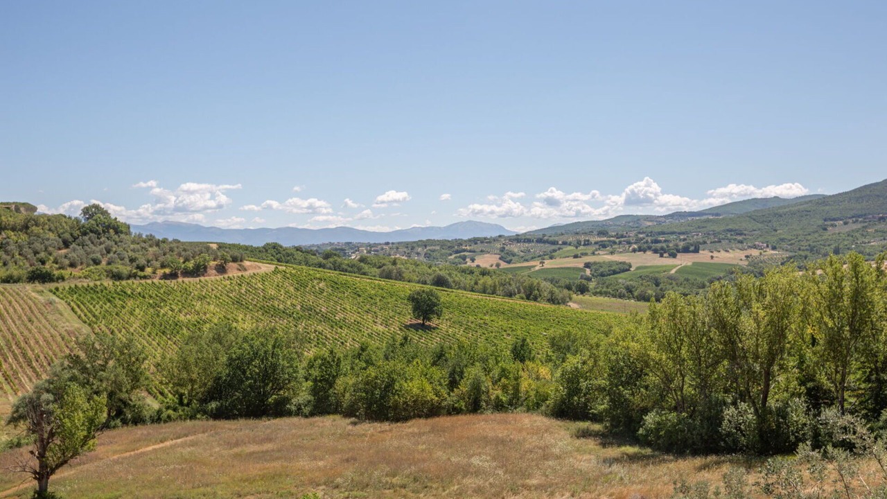 Photo of Others in Gualdo Cattaneo