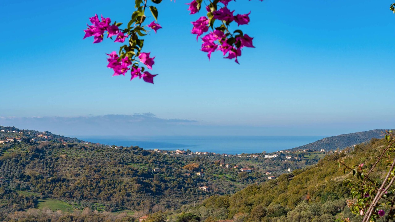 Photo of Bedroom in Laureana Cilento