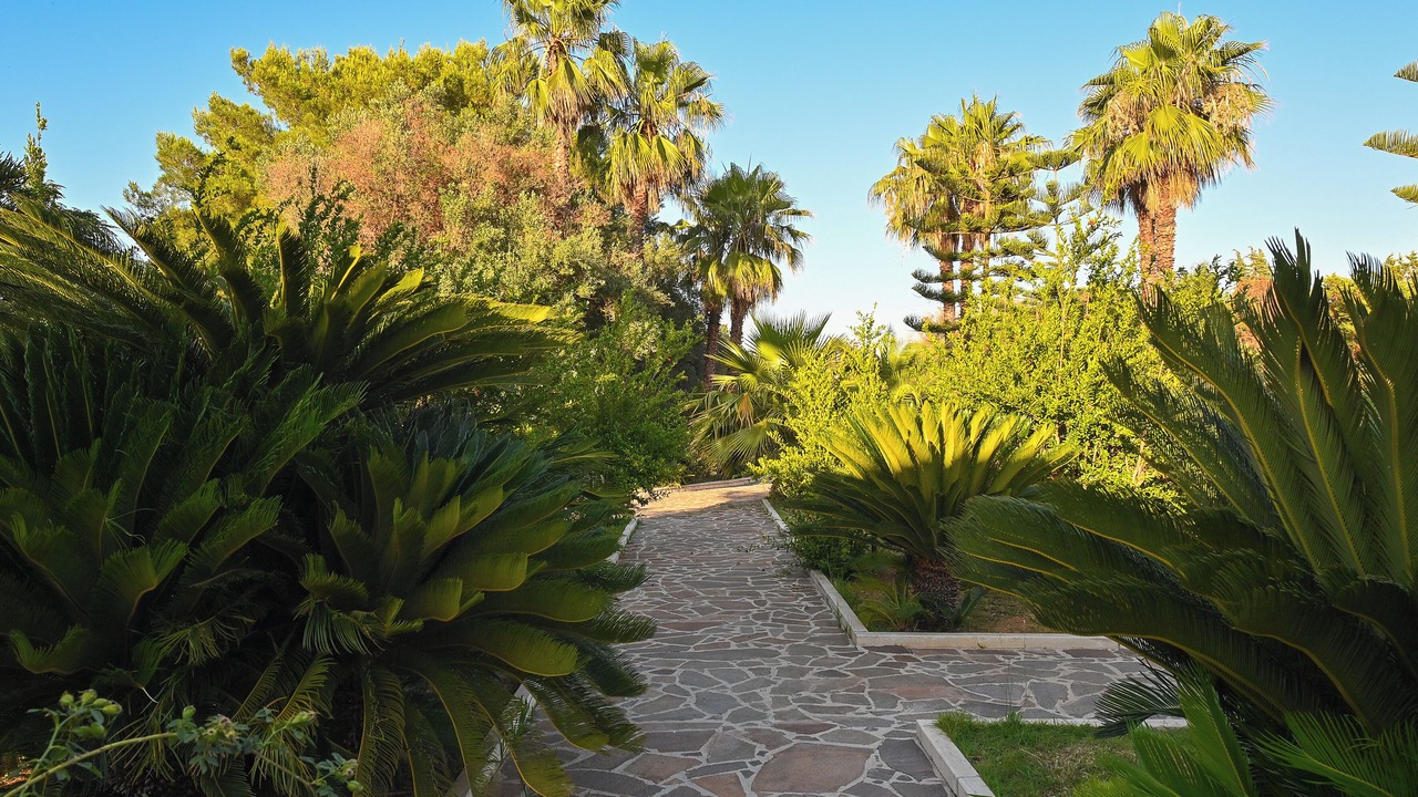 Photo of Outdoor in Carovigno