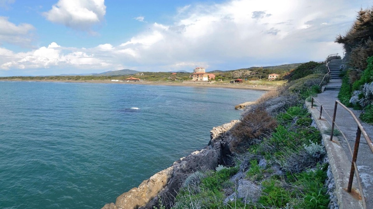 Photo of Others in Ansedonia
