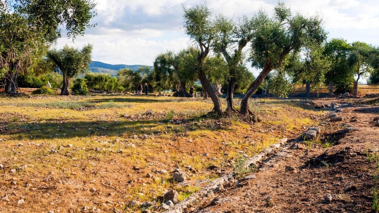 Photo of Others in Ansedonia