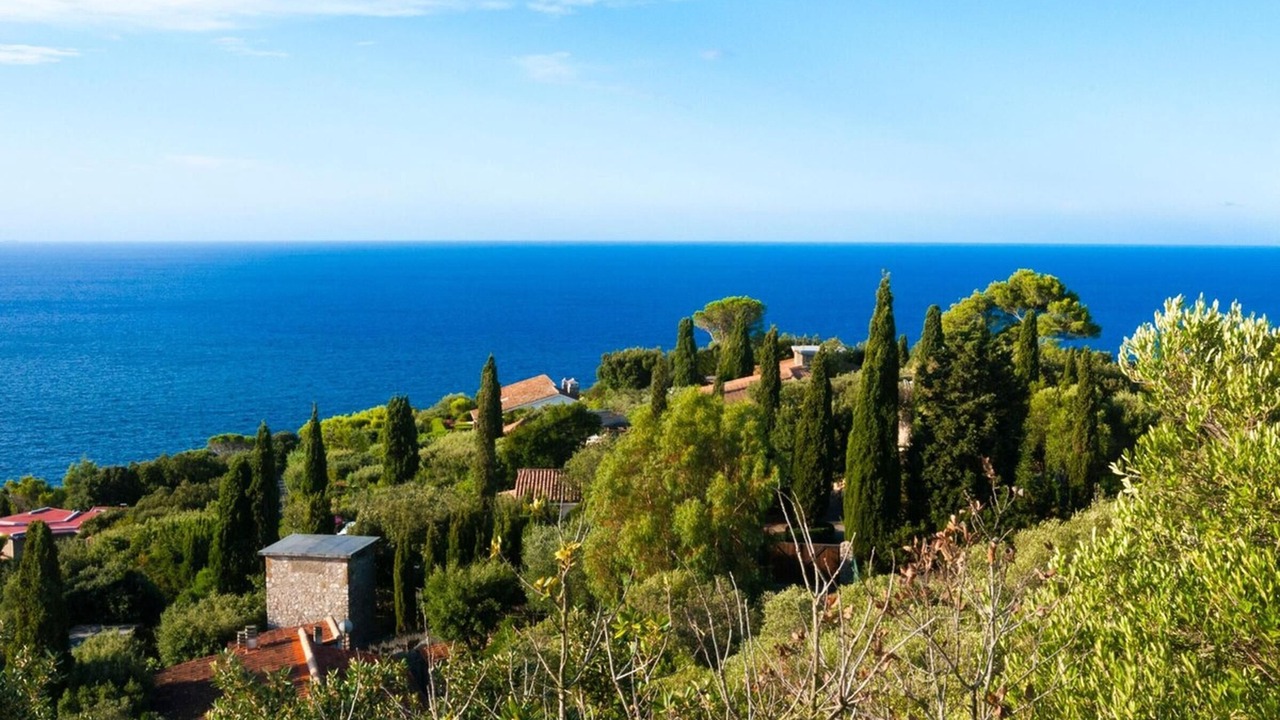 Photo of Others in Ansedonia