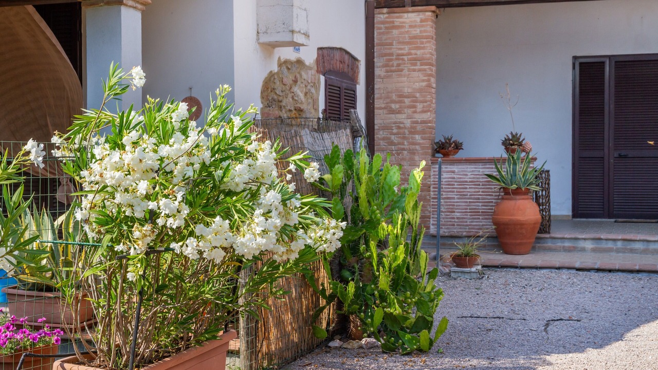 Photo of Outdoor in Grosseto
