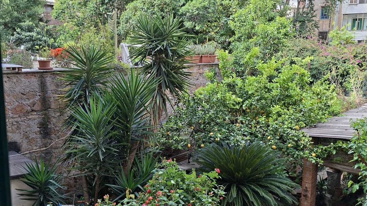 Photo of Outdoor in Pigneto