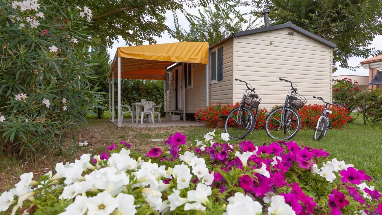 Photo of Outdoor in Ca' Savio