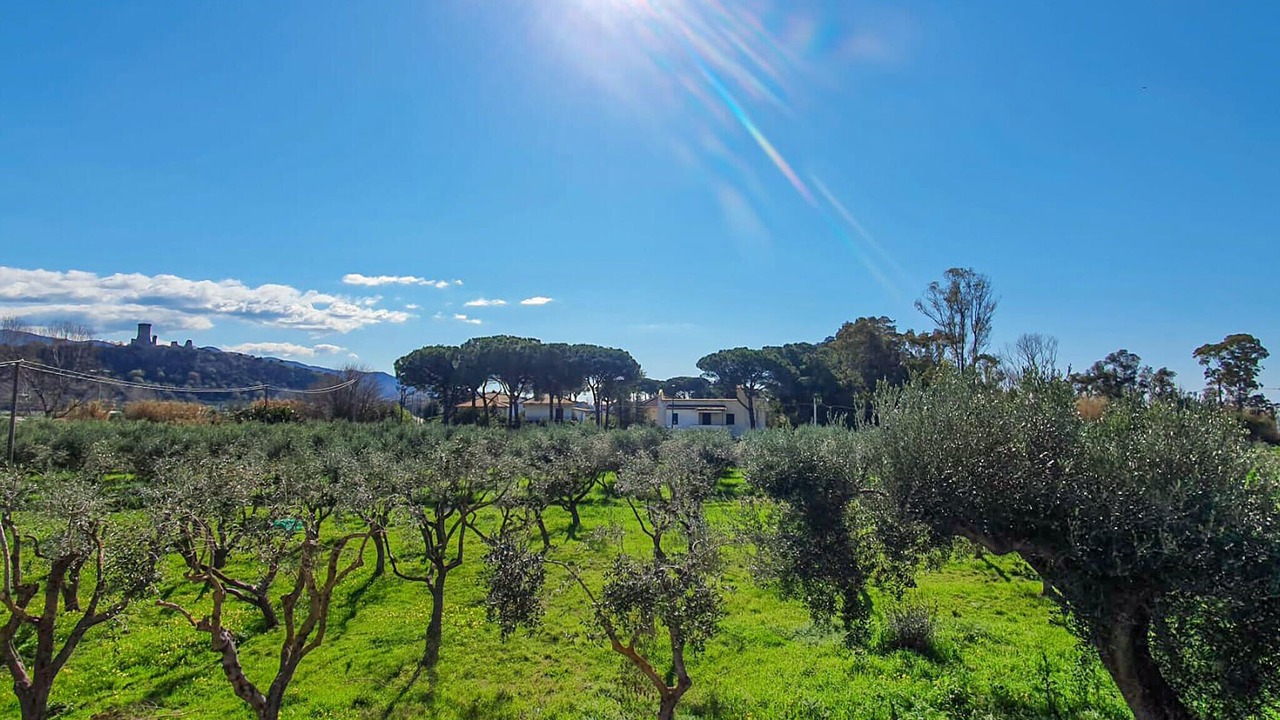 Photo of Others in Casal Velino