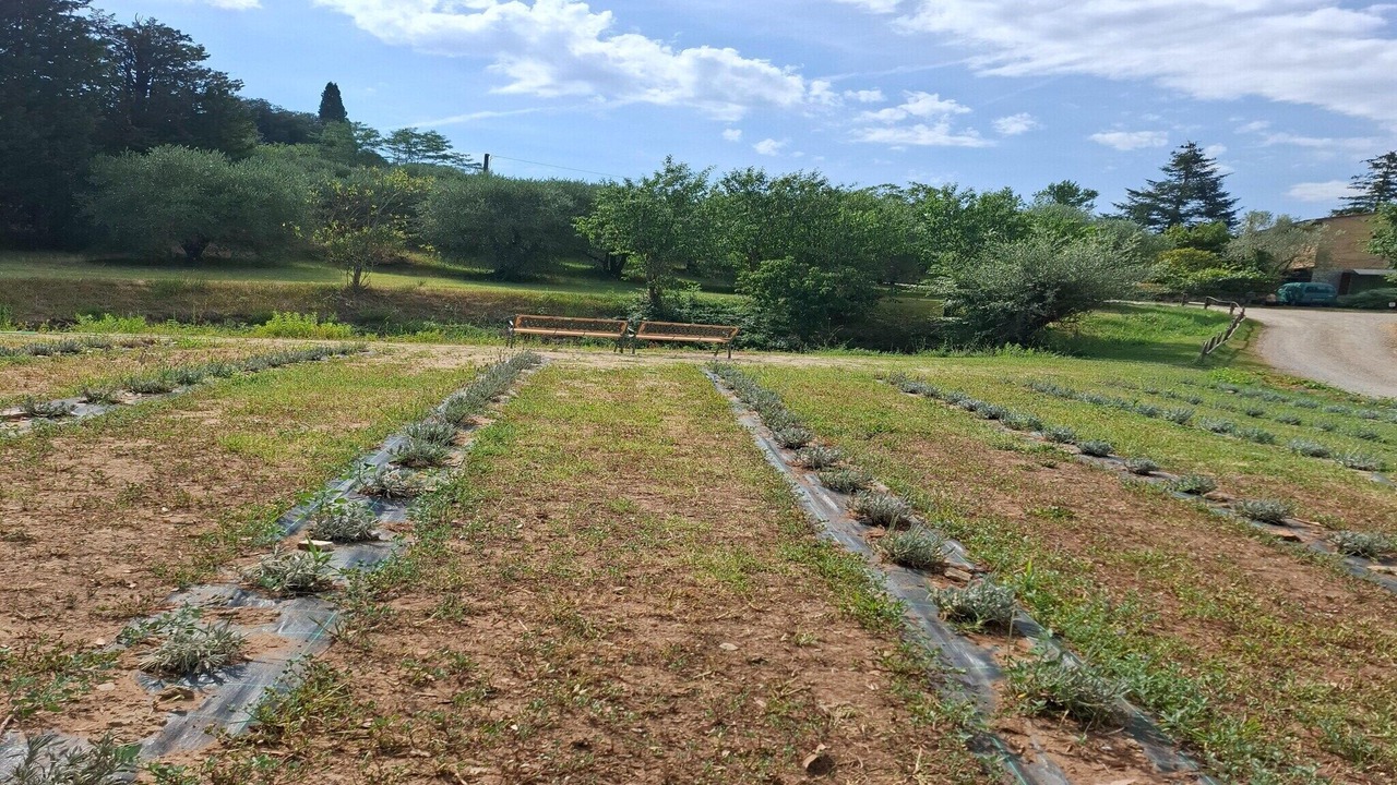 Photo of Outdoor in Serre di Rapolano