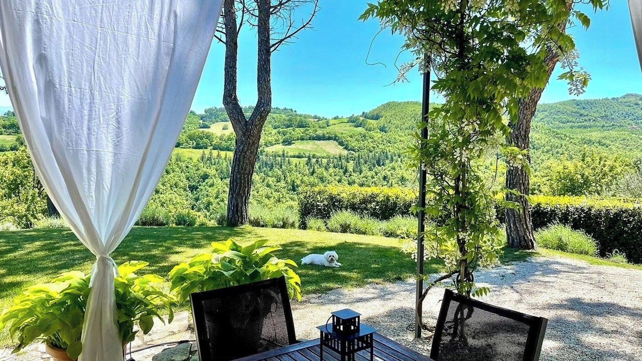 Photo of Outdoor in Monteluiano
