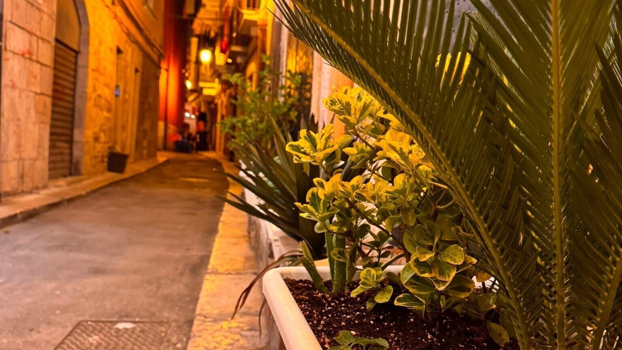 Photo of Outdoor in Barletta