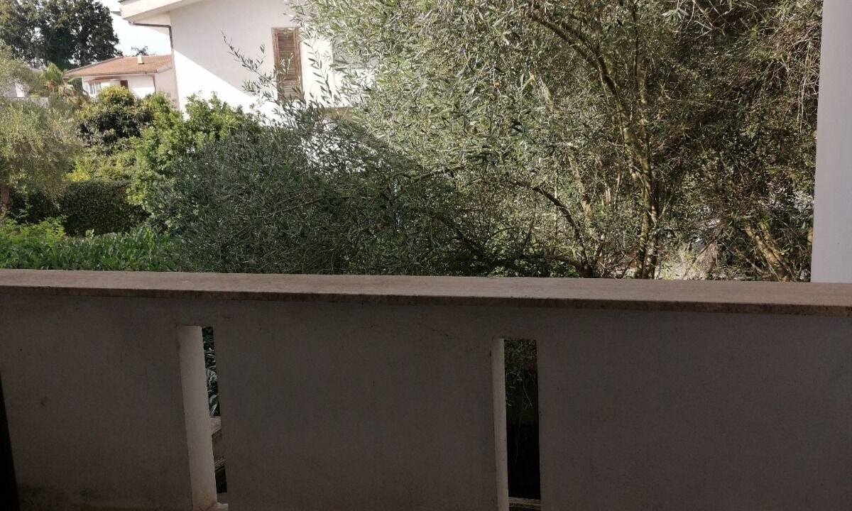 Photo of Outdoor in Sabaudia