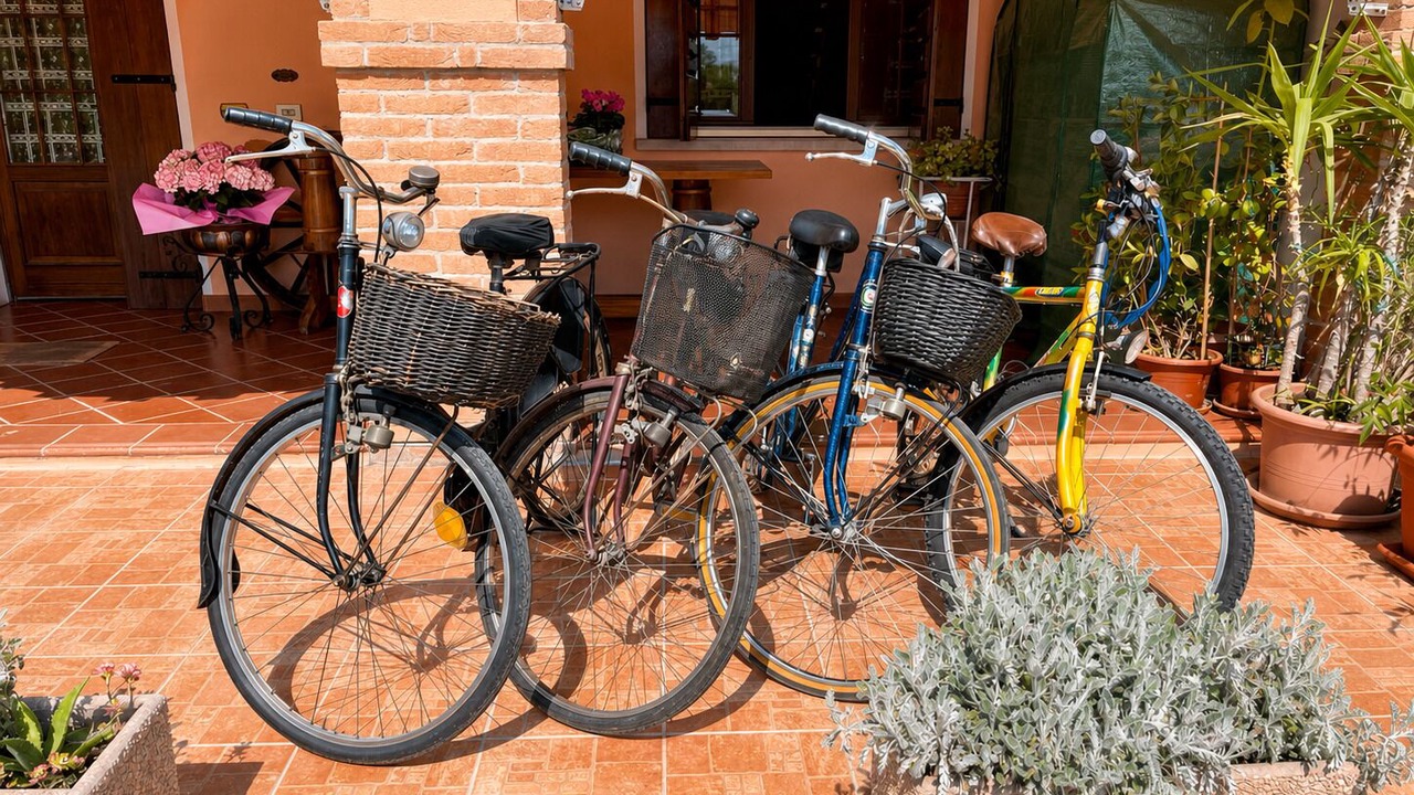Photo of Outdoor in Mogliano Veneto