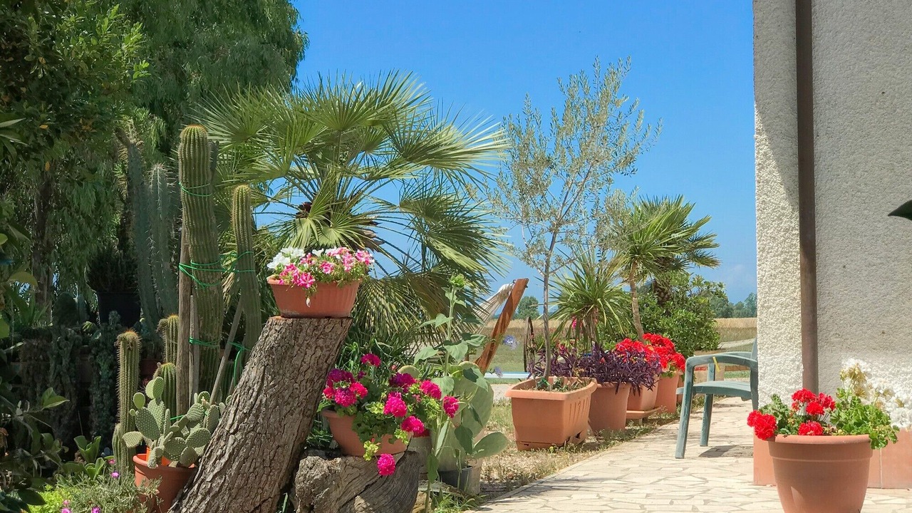 Photo of Outdoor in Alberese